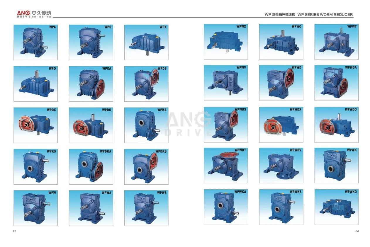 WP worm reducer WP worm reducer